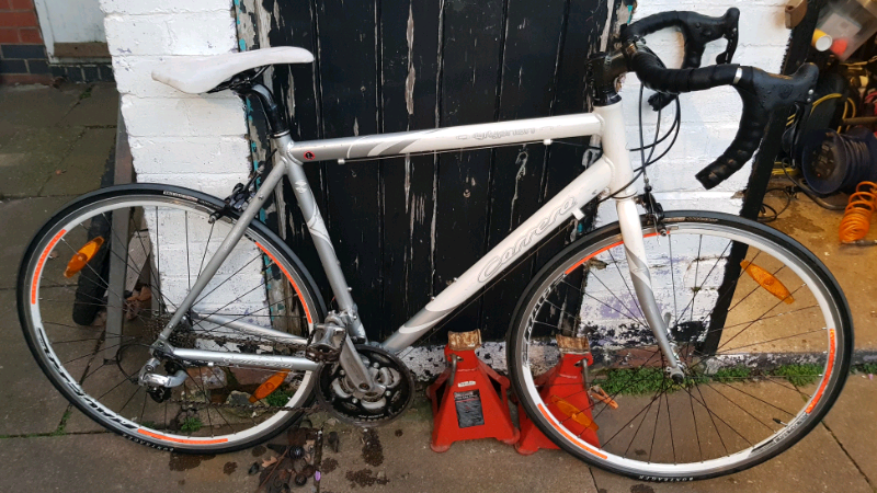 carrera gryphon road bike